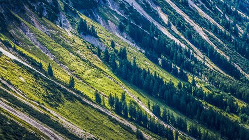 nature  mountains  forest