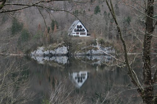 nature  bohinj  slovenia