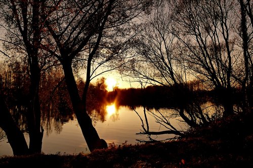 nature  country  lake