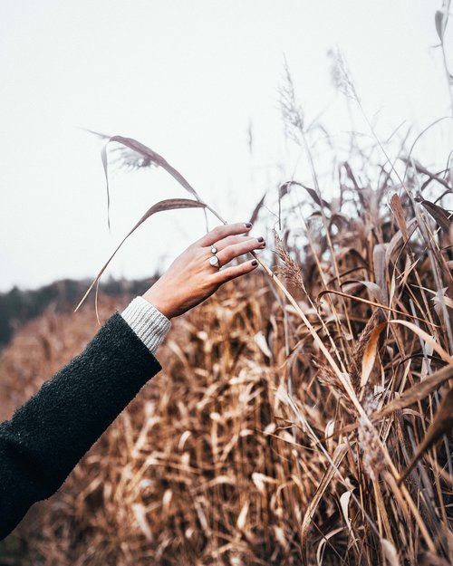 nature  hand  hands