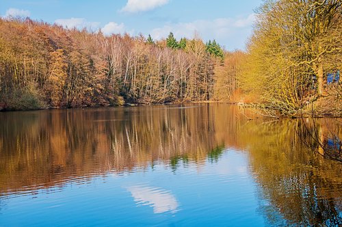 nature  lake  landscape