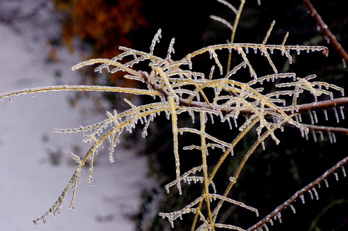 nature  ice  cold