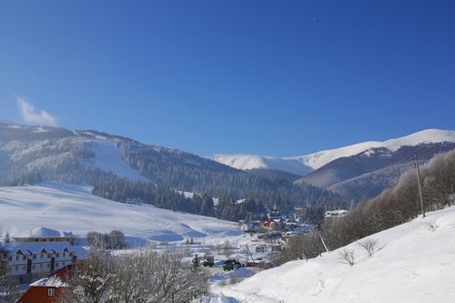 nature  forest  mountains