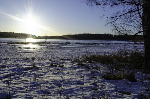 nature  snow  water