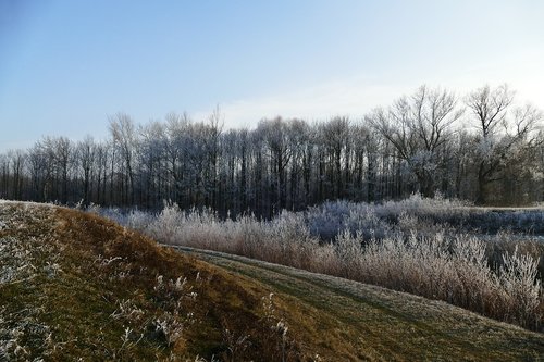 nature  country  winter