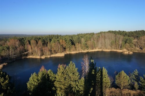 nature  water  forest