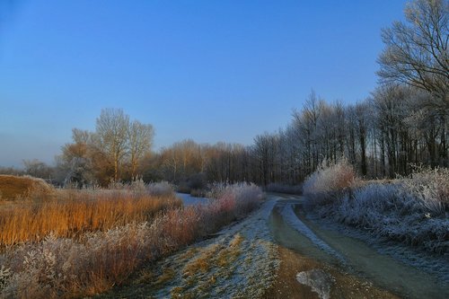 nature  country  path