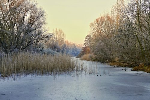 nature  country  winter