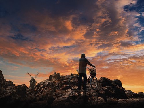 nature  human  joy