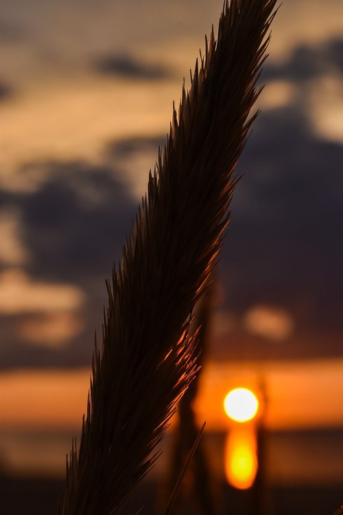 nature  sunset  landscape