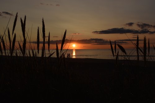 nature  sunset  sea