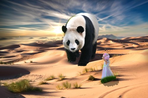 nature  girl  panda