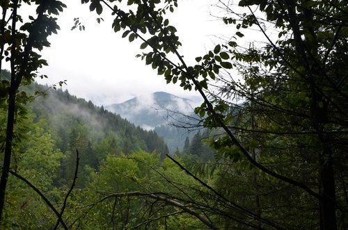 nature  mountains  fog