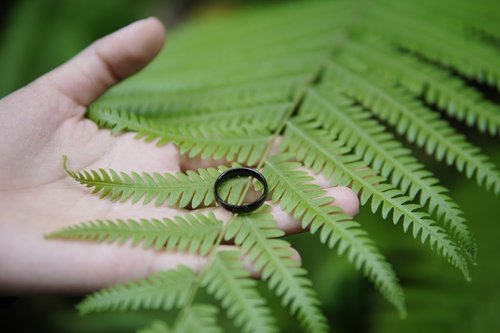 nature  green  ring