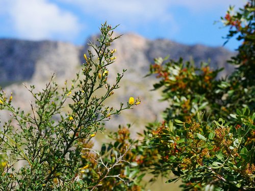 nature  mountains  landscape