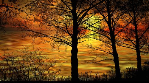 nature  sunset  landscape