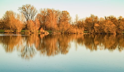 nature  trees  landscape