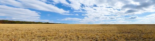 nature  landscape  field