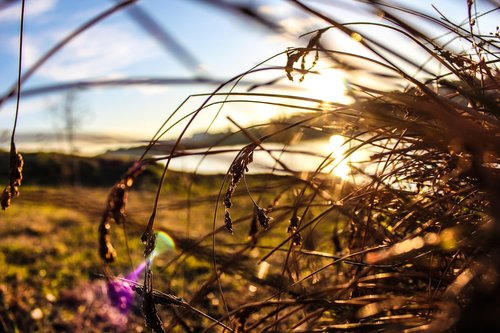 nature  landscape  autumn