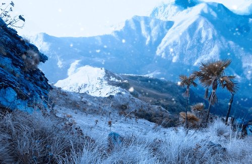 nature  snowfall  season