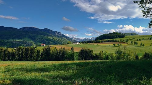 nature  landscape  fields