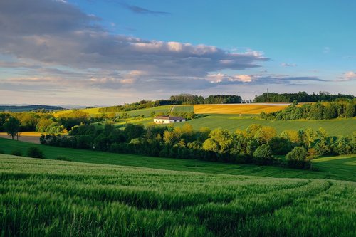 nature  landscape  spring