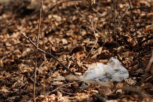 nature  garbage  pollution