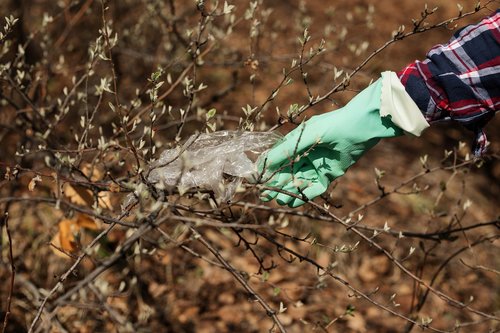 nature  garbage  pollution