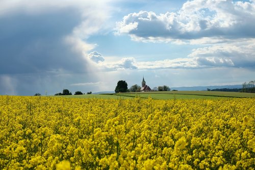 nature  landscape  spring