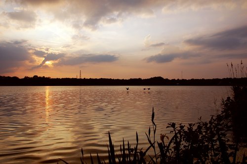 nature  sunset  river