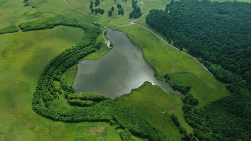 nature  wild  lake