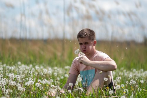 nature  spring  dandelions