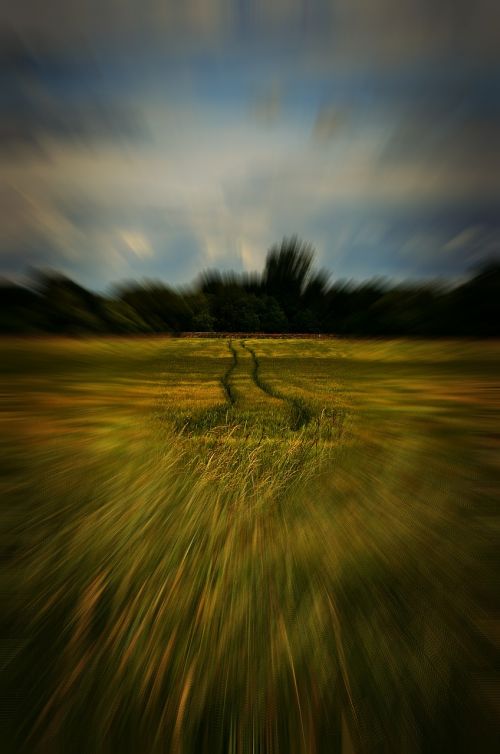 nature field path