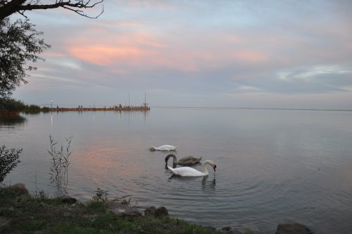 nature lake balaton lake