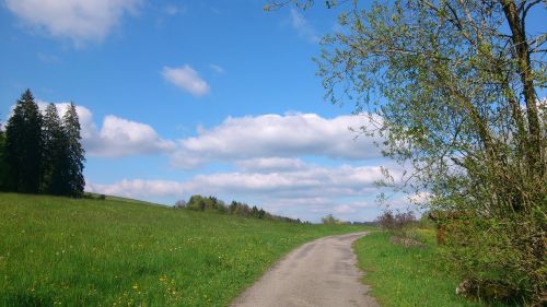 nature landscape hiking