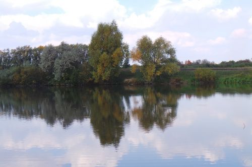 nature pond lake