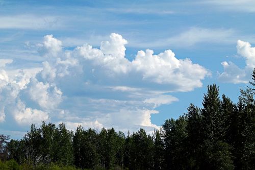 nature sky cumulus