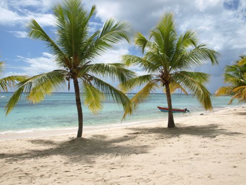 nature beach caribbean