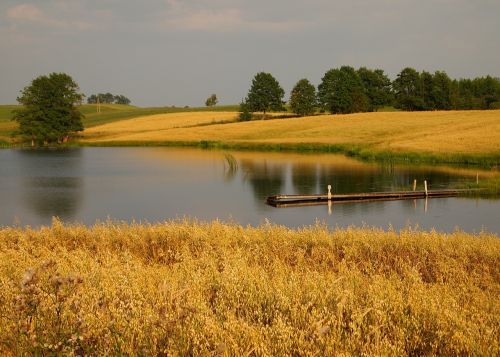 nature landscape pond