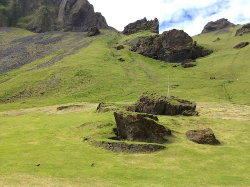 nature grass rock