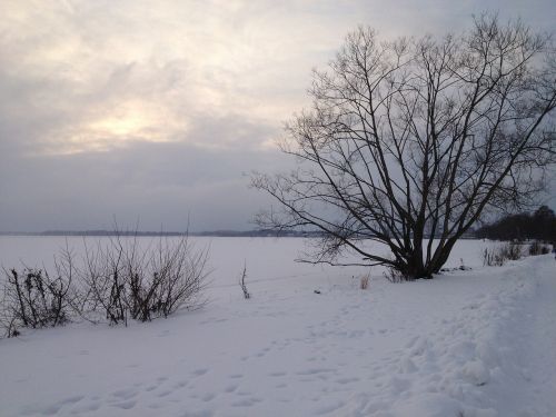 nature winter sweden