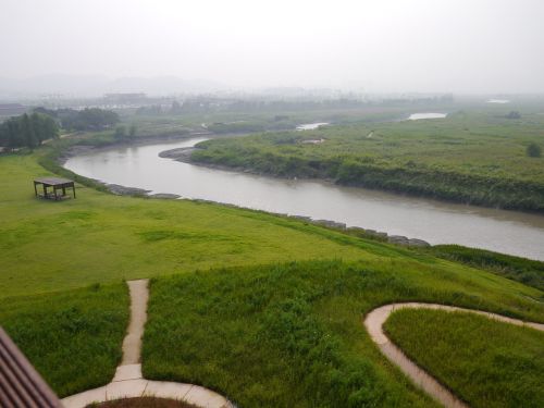 nature river greenness