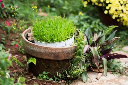 nature grass box