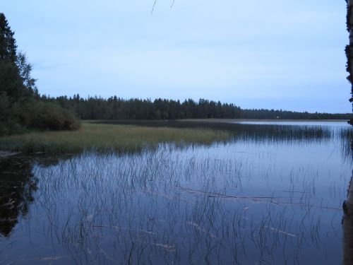 nature lake finland