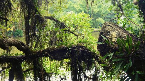 nature park landscape