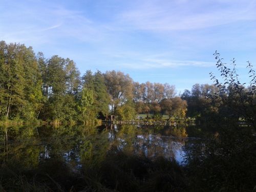 nature lake mirrored trees