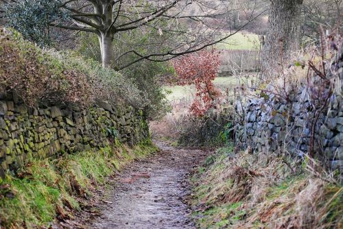 nature outside countryside