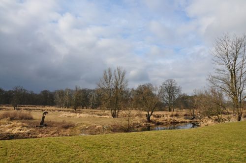 nature river landscape