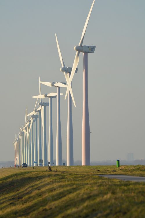 nature windmills netherlands