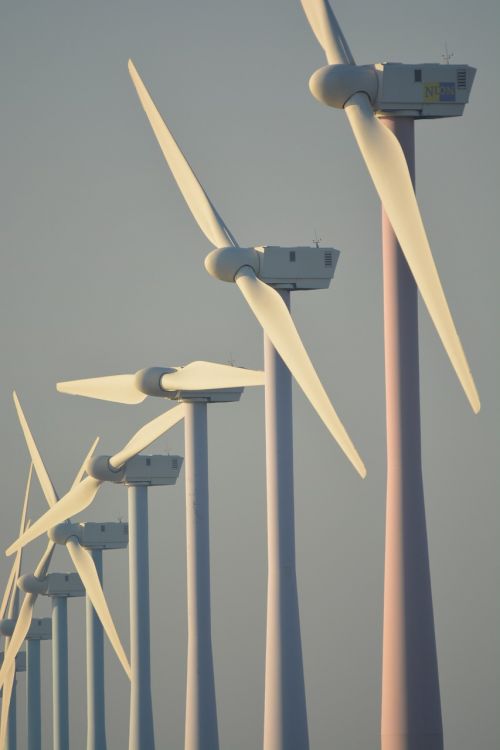 nature windmills netherlands